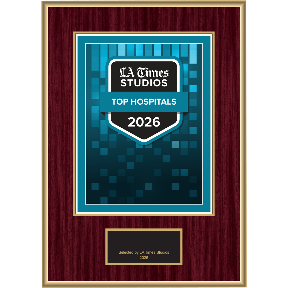 2026 Top Hospitals – Plaque (With or Without Photo)